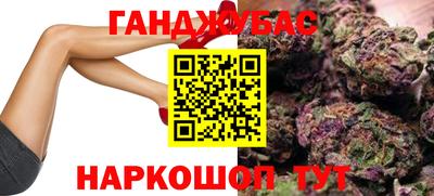амф Шебекино