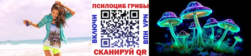 Псилоцибиновые грибы GOLDEN TEACHER  Моздок 
