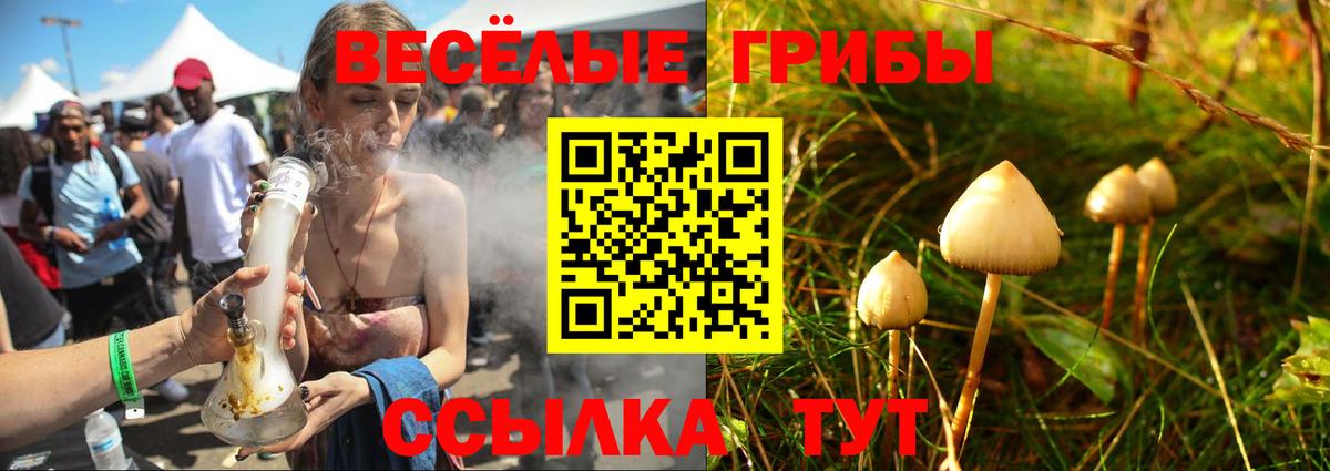 наркотики  Вход с VPN  Моздок  Псилоцибиновые грибы Magic Shrooms 